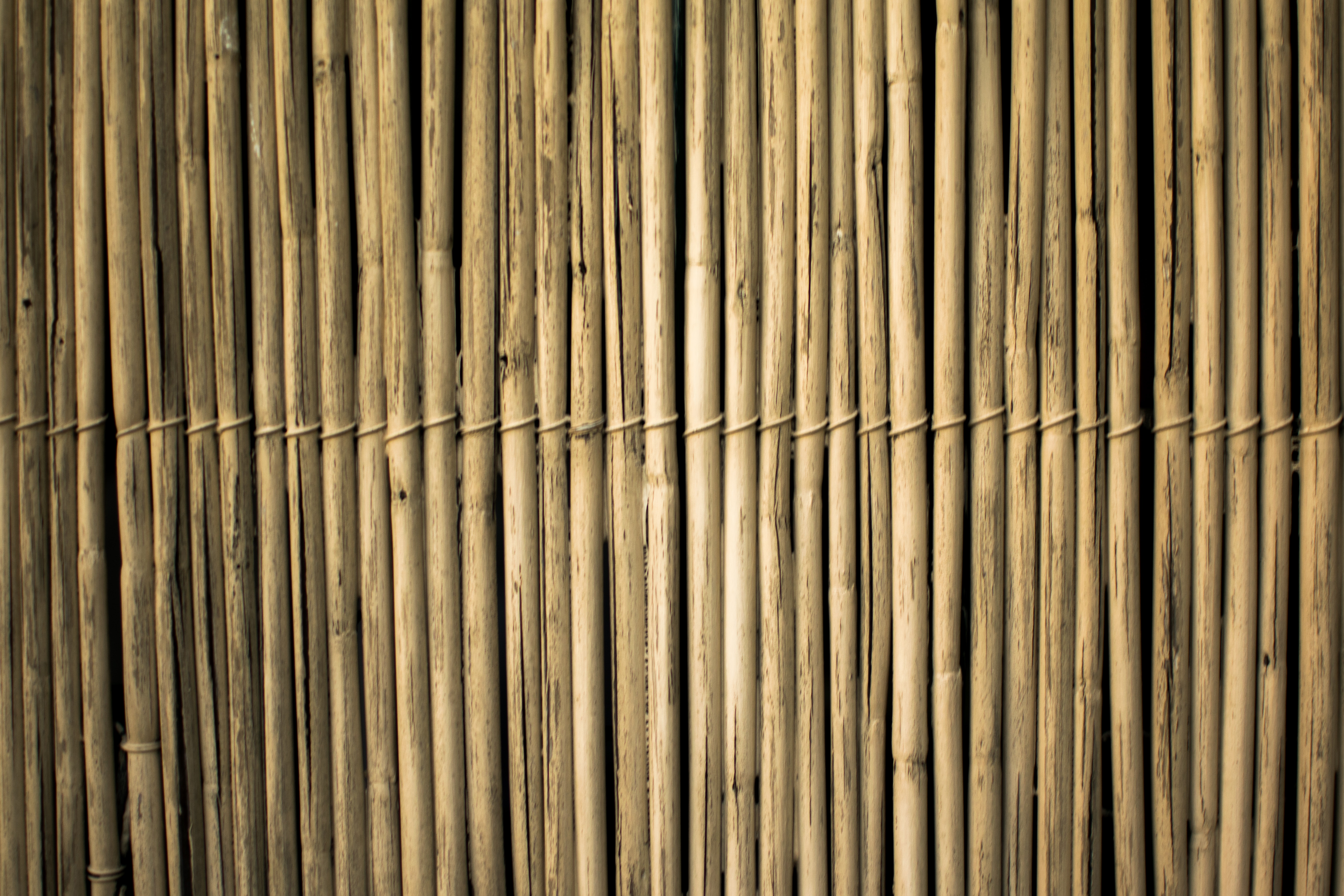 Bamboo Hd Wallpapers