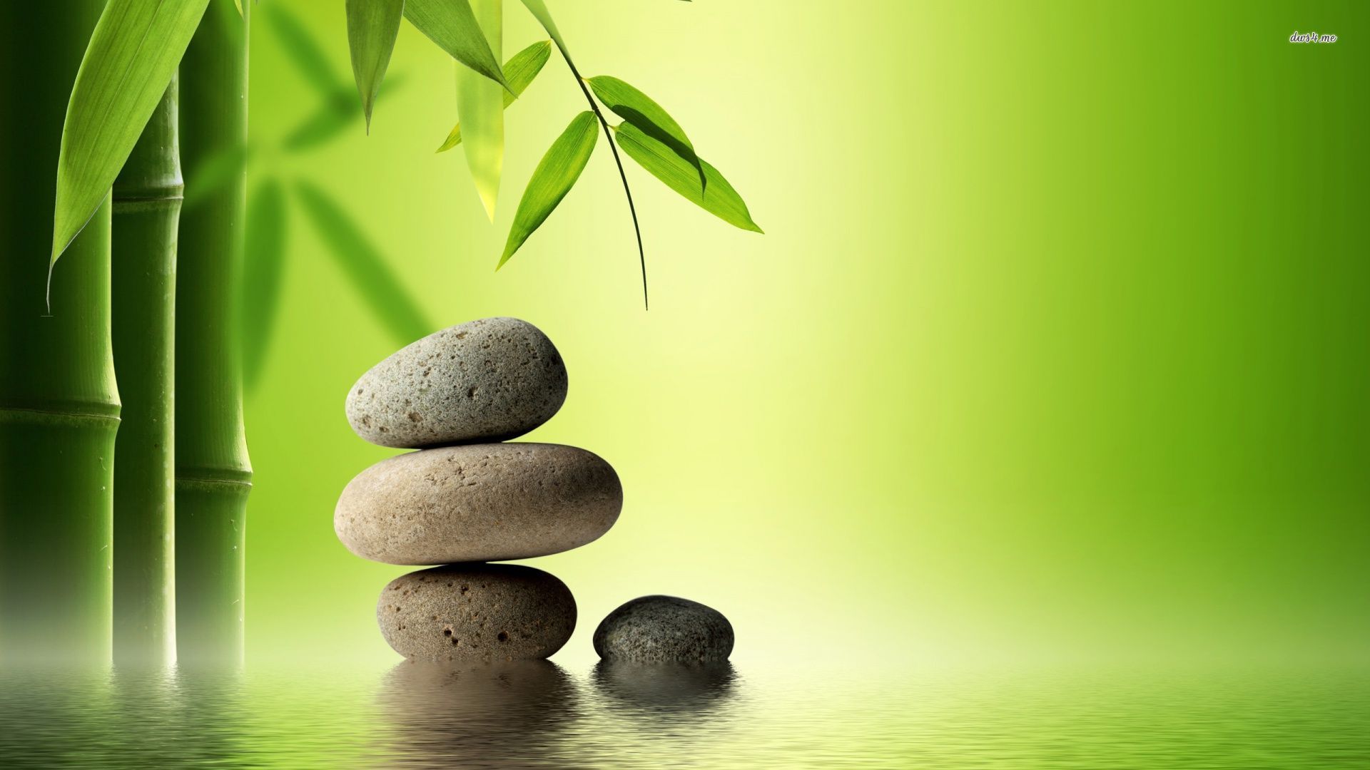 Bamboo Zen Wallpapers