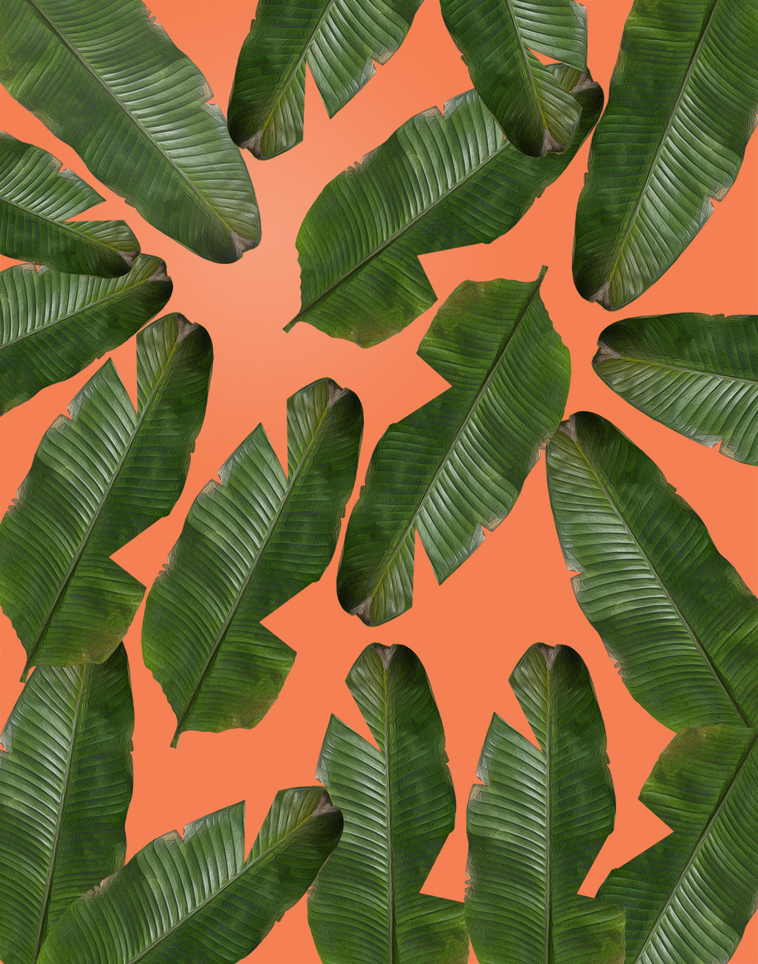 Banana Leaf Wallpapers