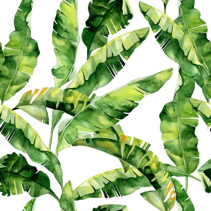 Banana Leaf Wallpapers