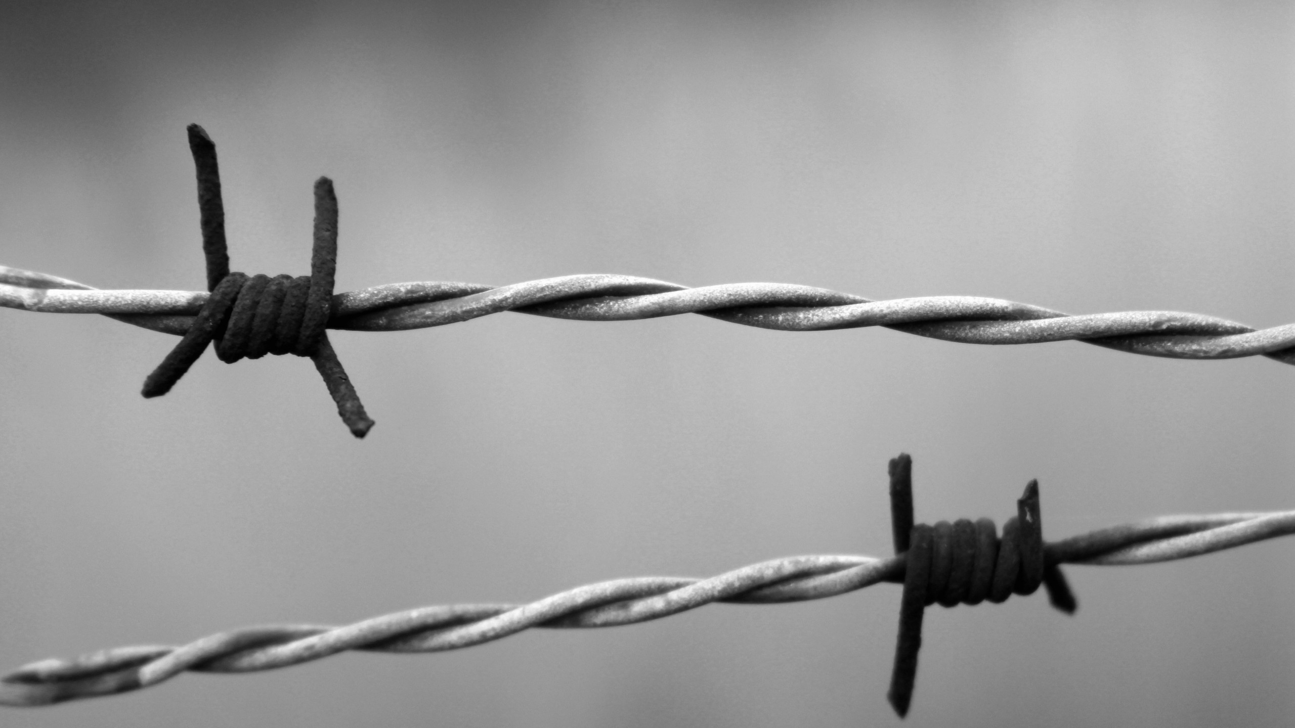 Barbed Wire Wallpapers