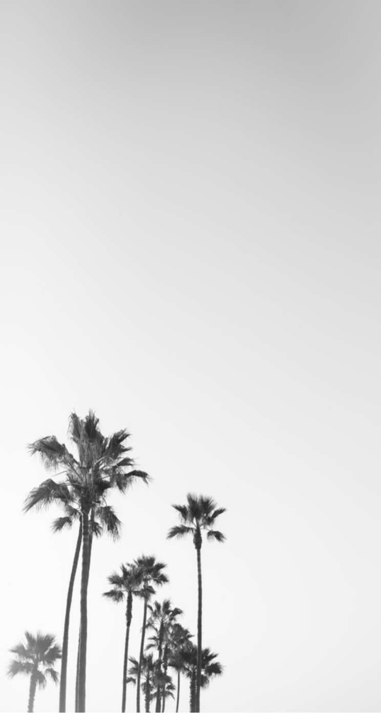 Basic Iphone Wallpapers