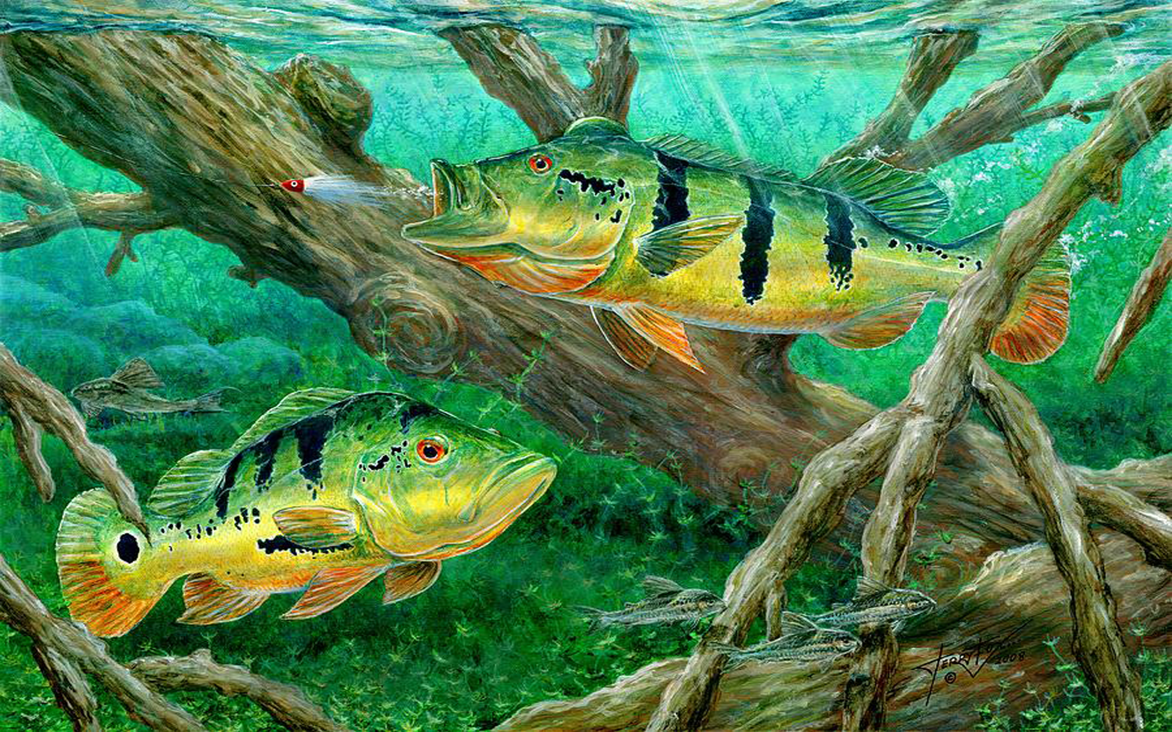 Bass Fishing Wallpapers