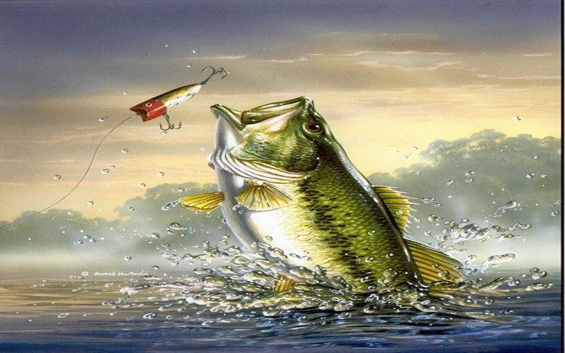 Bass Fishing Wallpapers