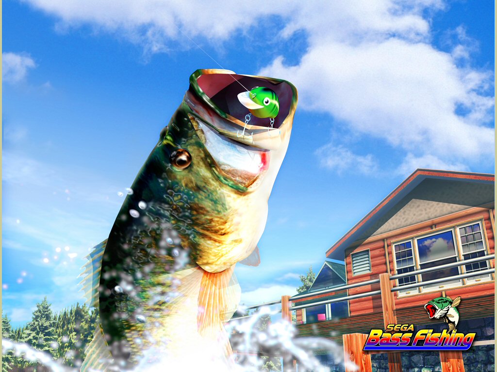 Bass Fishing Wallpapers