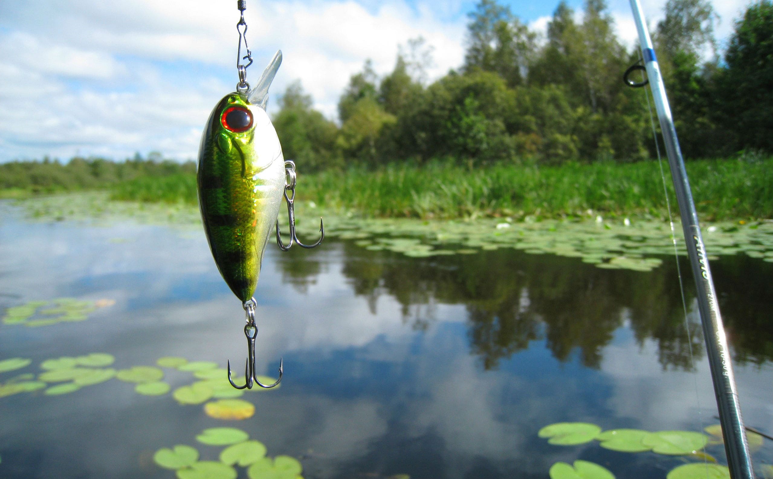 Bass Fishing Wallpapers