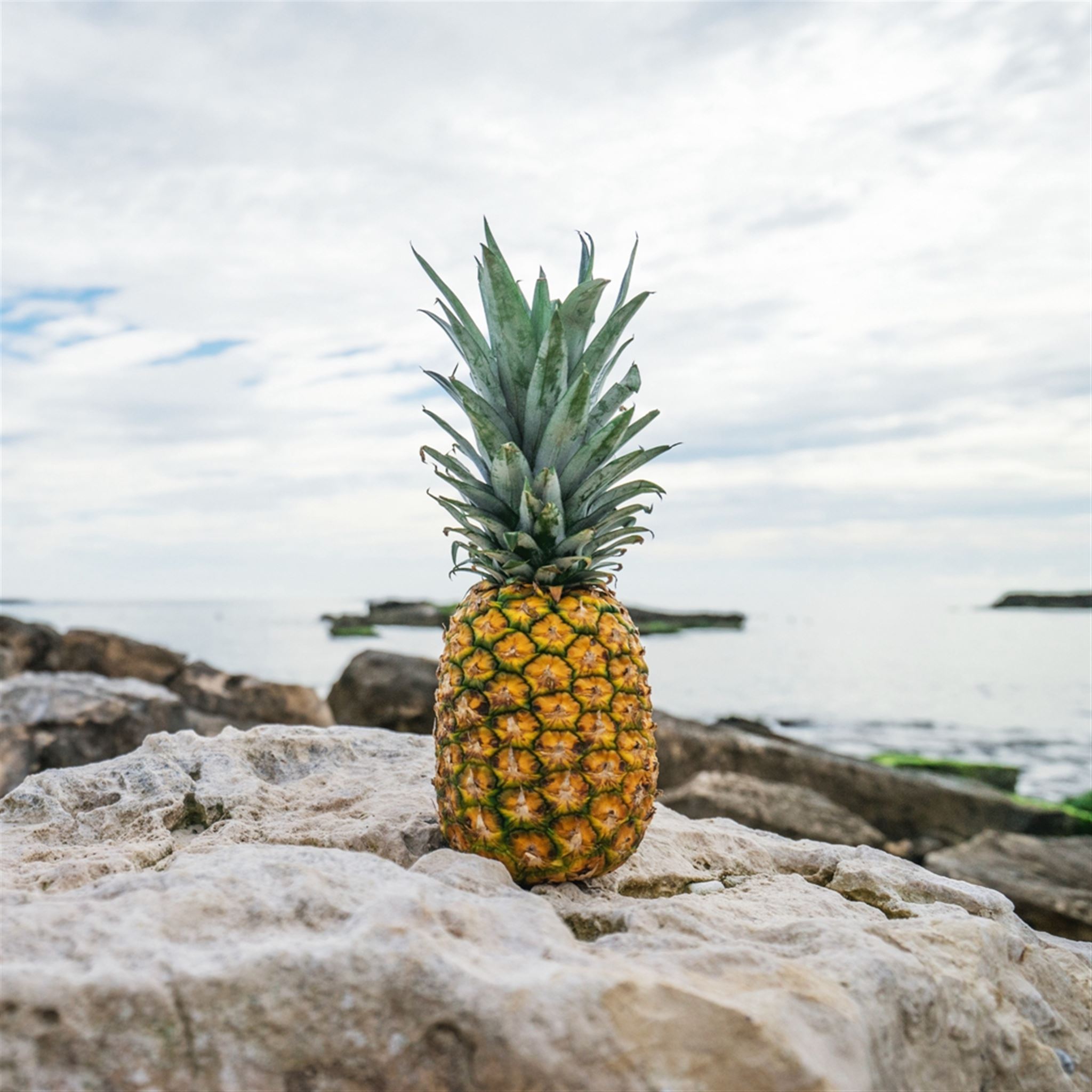 Beach Pineapple Wallpapers