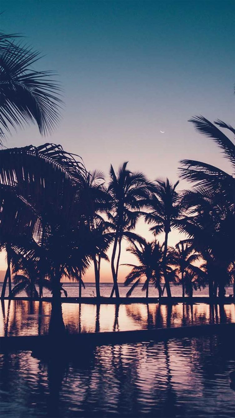 Beach Sunset Iphone Wallpapers