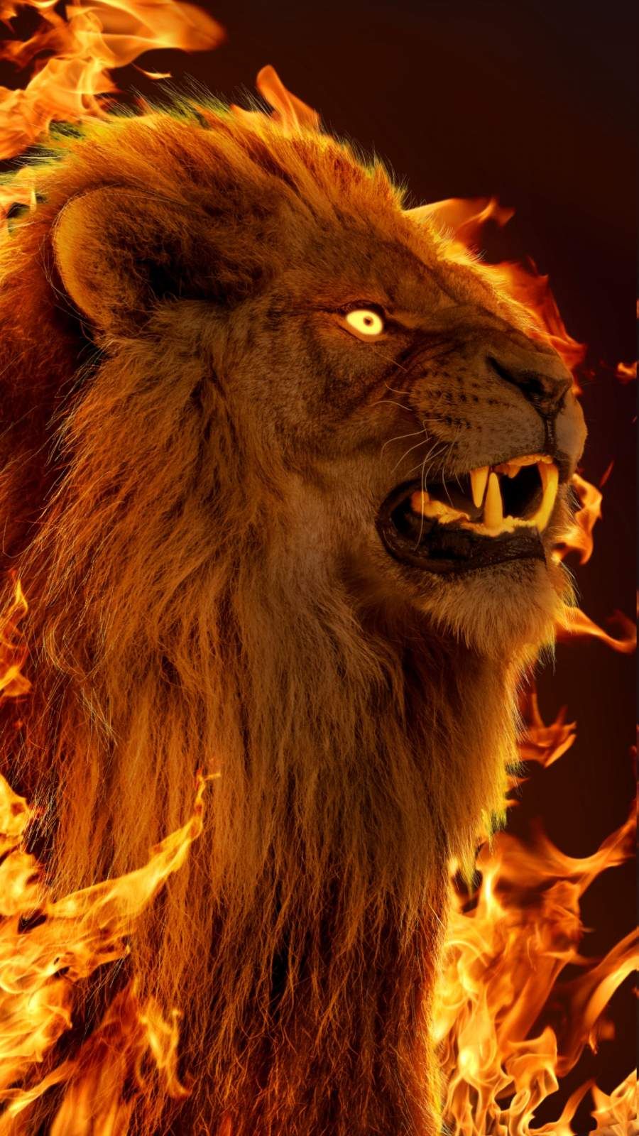 Beast Lion Iphone Wallpapers