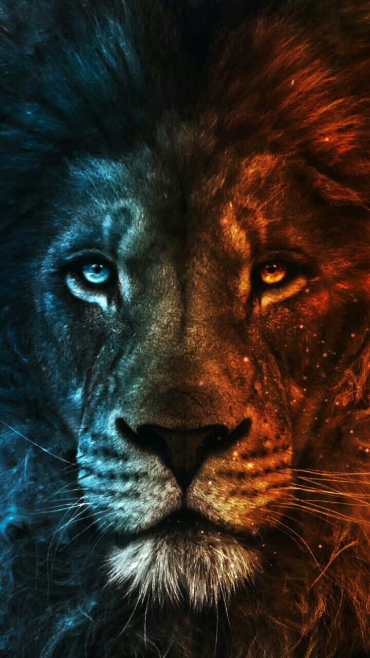 Beast Lion Iphone Wallpapers