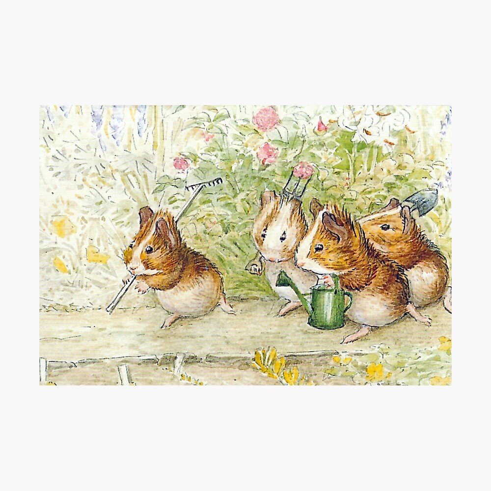 Beatrix Potter Wallpapers