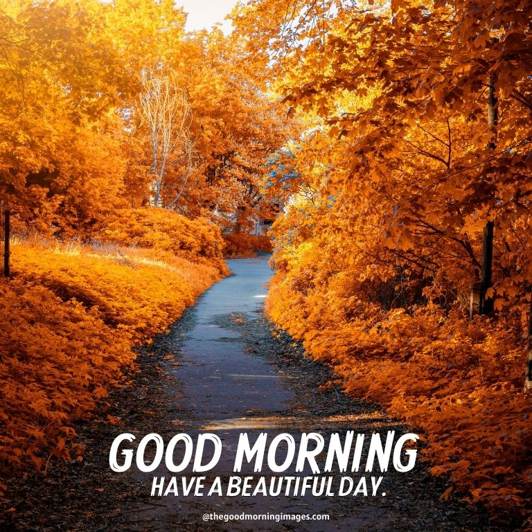 Beautiful Autumn Good Morning Images Wallpapers