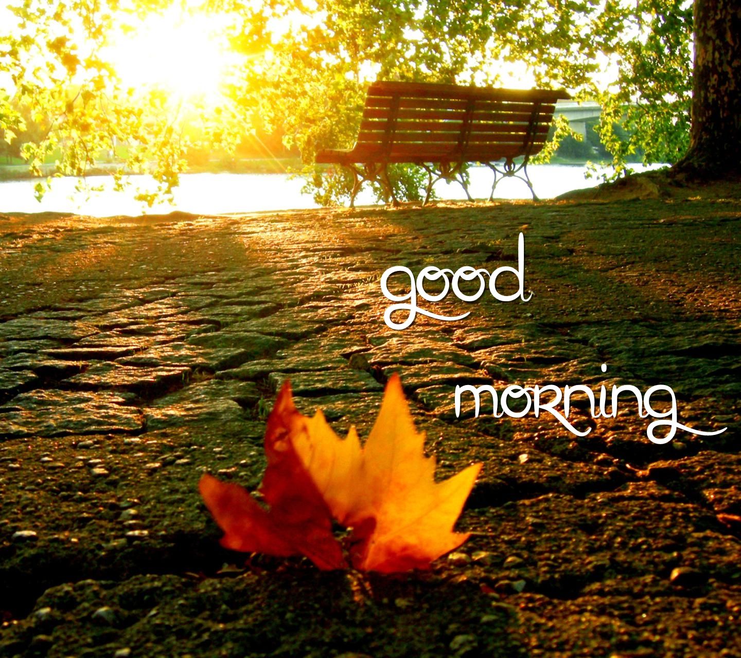 Beautiful Autumn Good Morning Images Wallpapers