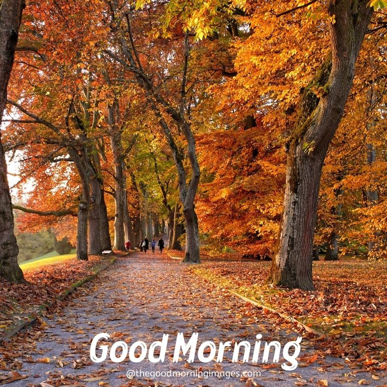 Beautiful Autumn Good Morning Images Wallpapers