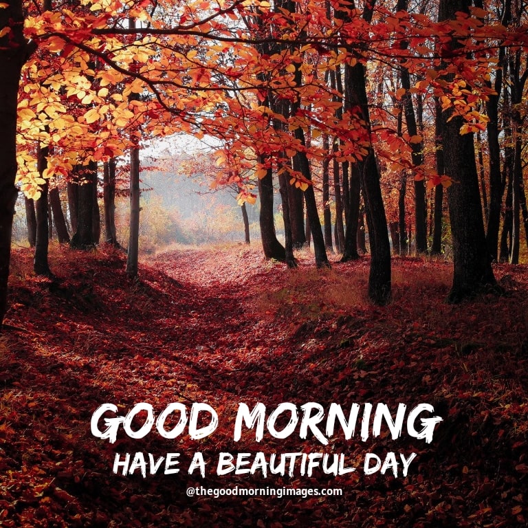 Beautiful Autumn Good Morning Images Wallpapers