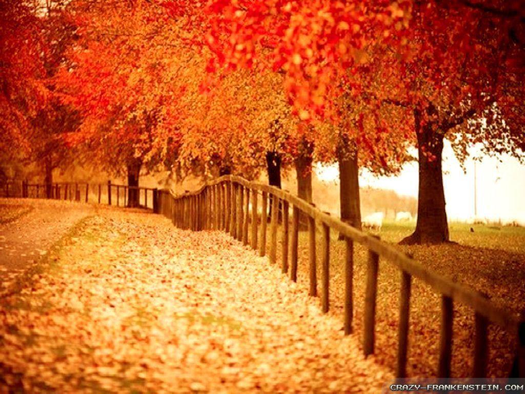 Beautiful Autumn Wallpapers