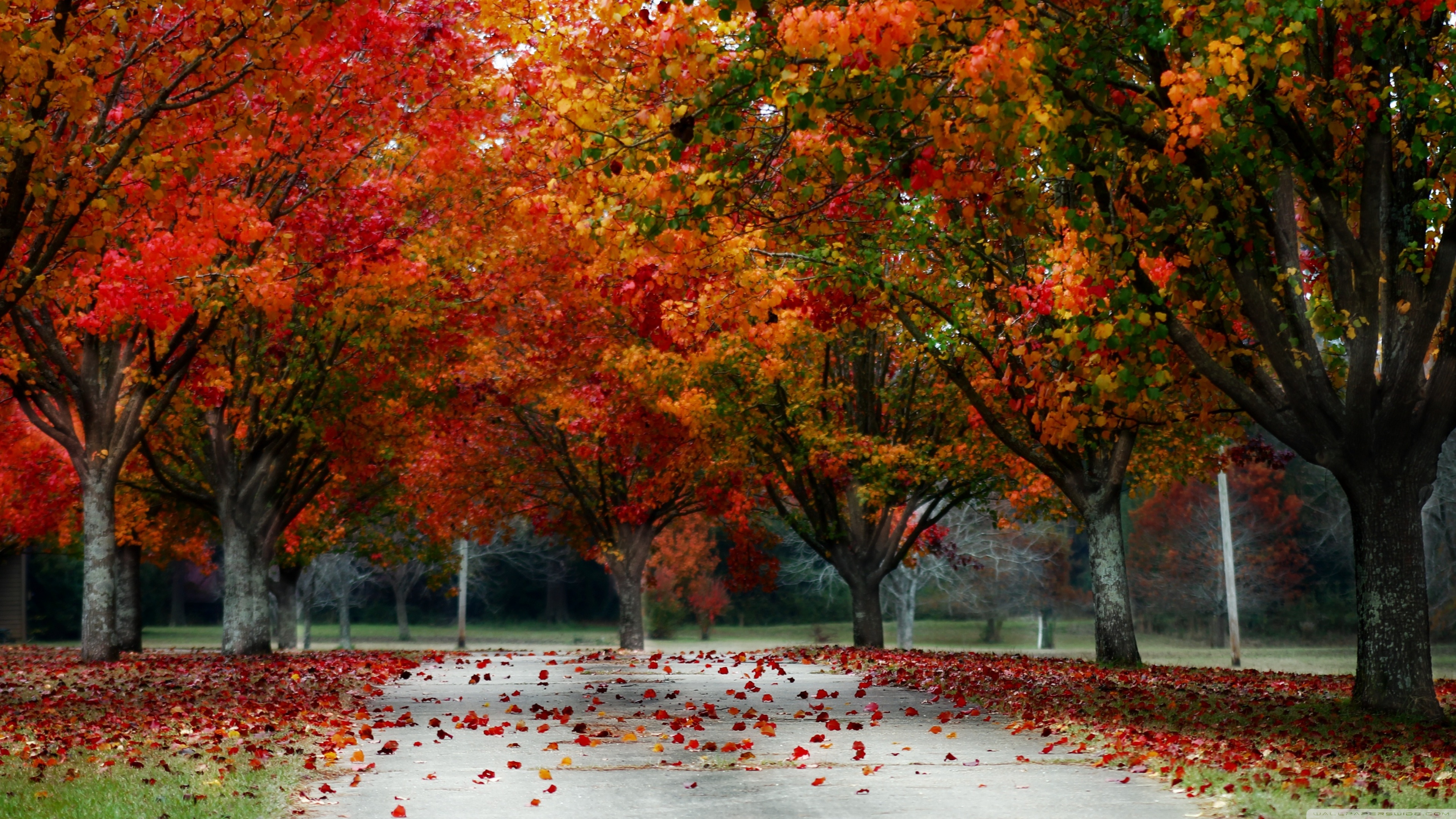 Beautiful Autumn Wallpapers