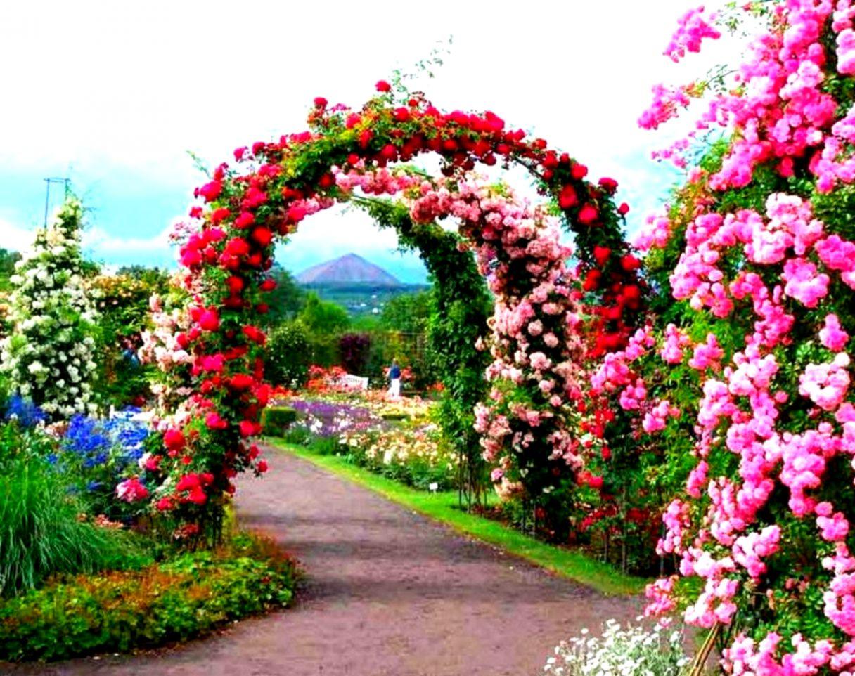 Beautiful Garden Wallpapers