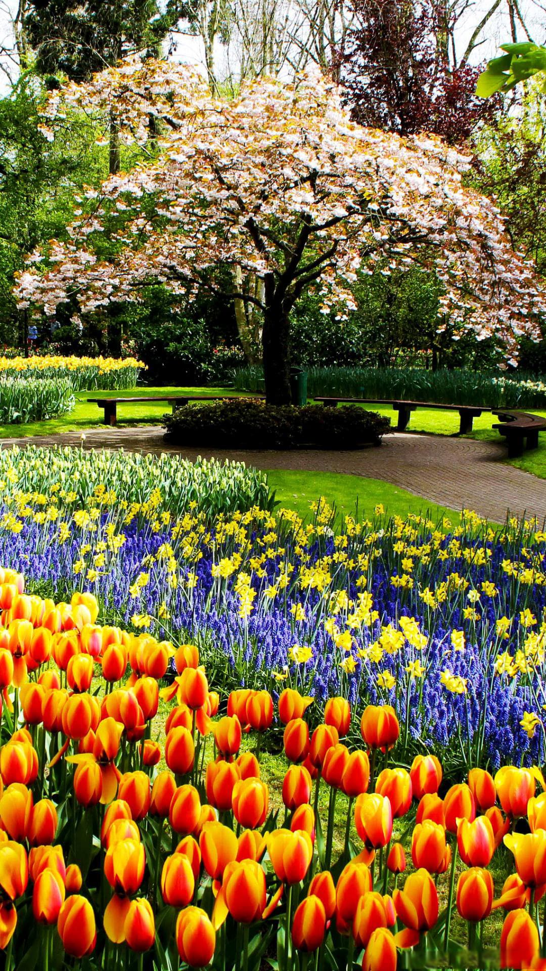 Beautiful Garden Wallpapers