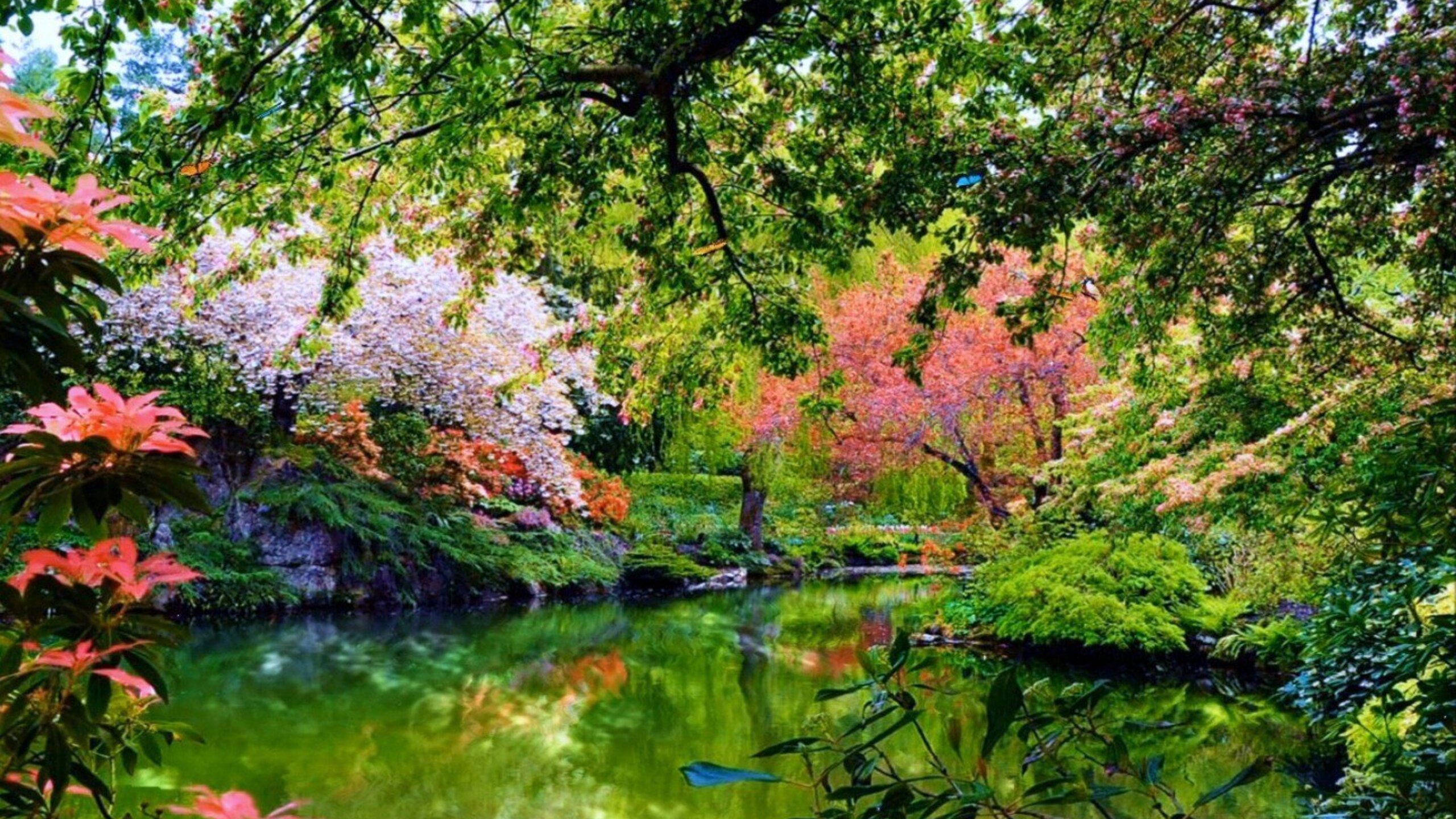 Beautiful Garden Wallpapers