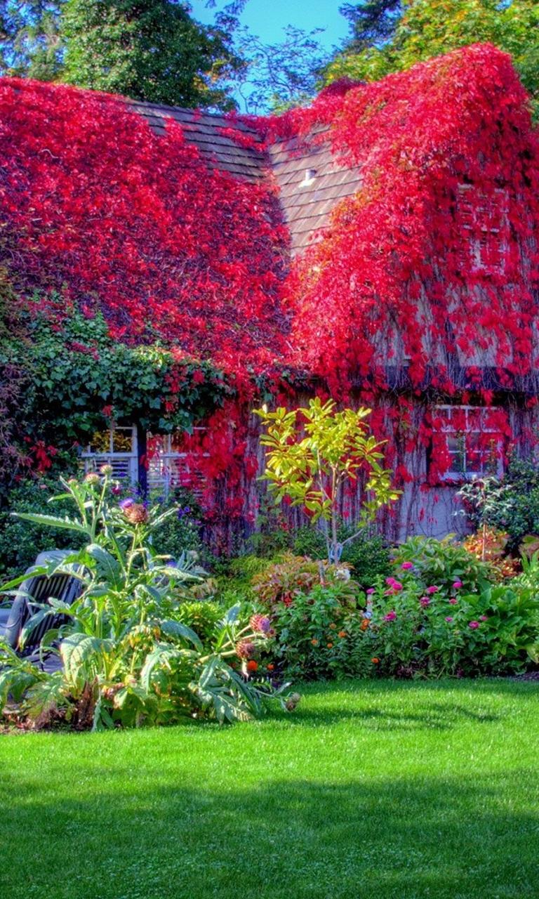 Beautiful Garden Wallpapers