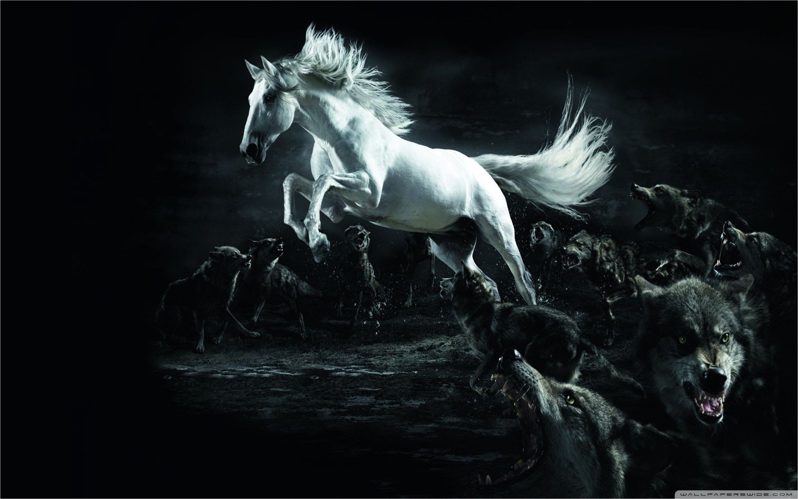 Beautiful Horses And Wolves Wallpapers