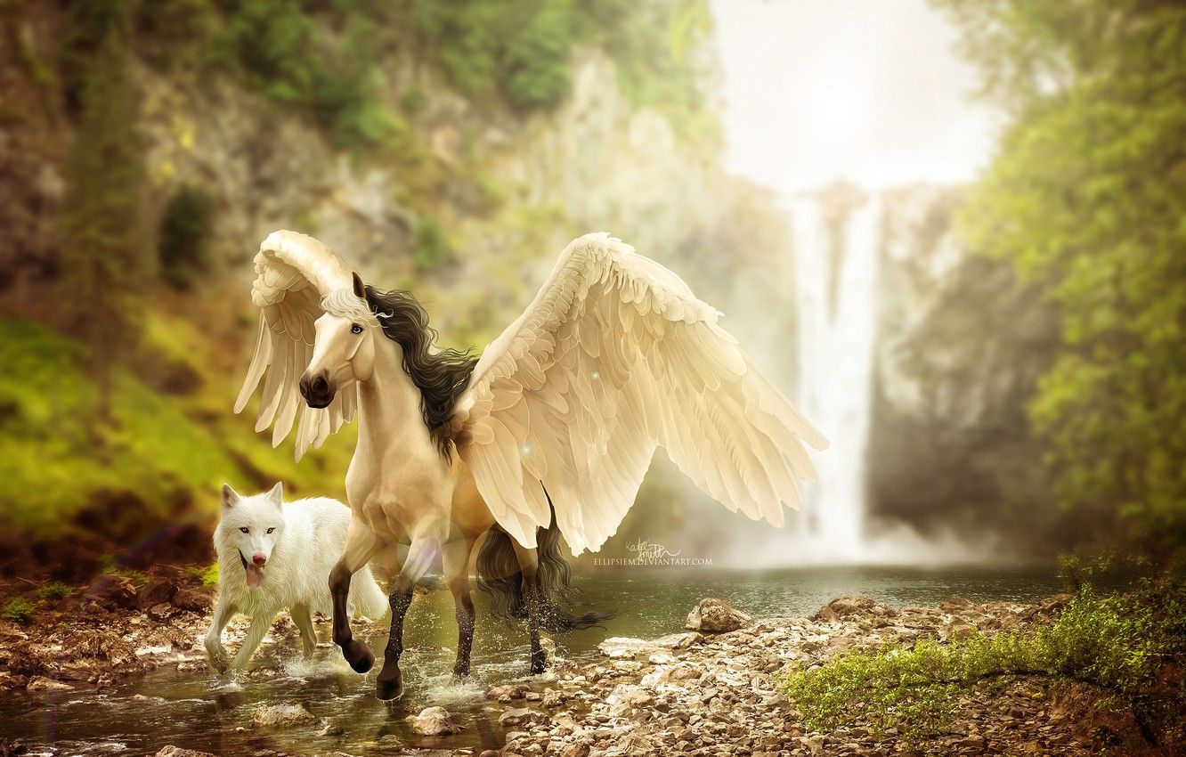 Beautiful Horses And Wolves Wallpapers