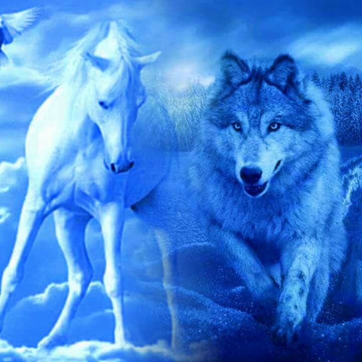 Beautiful Horses And Wolves Wallpapers