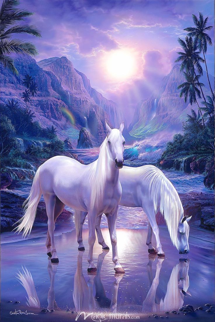 Beautiful Mystical Horse Wallpapers