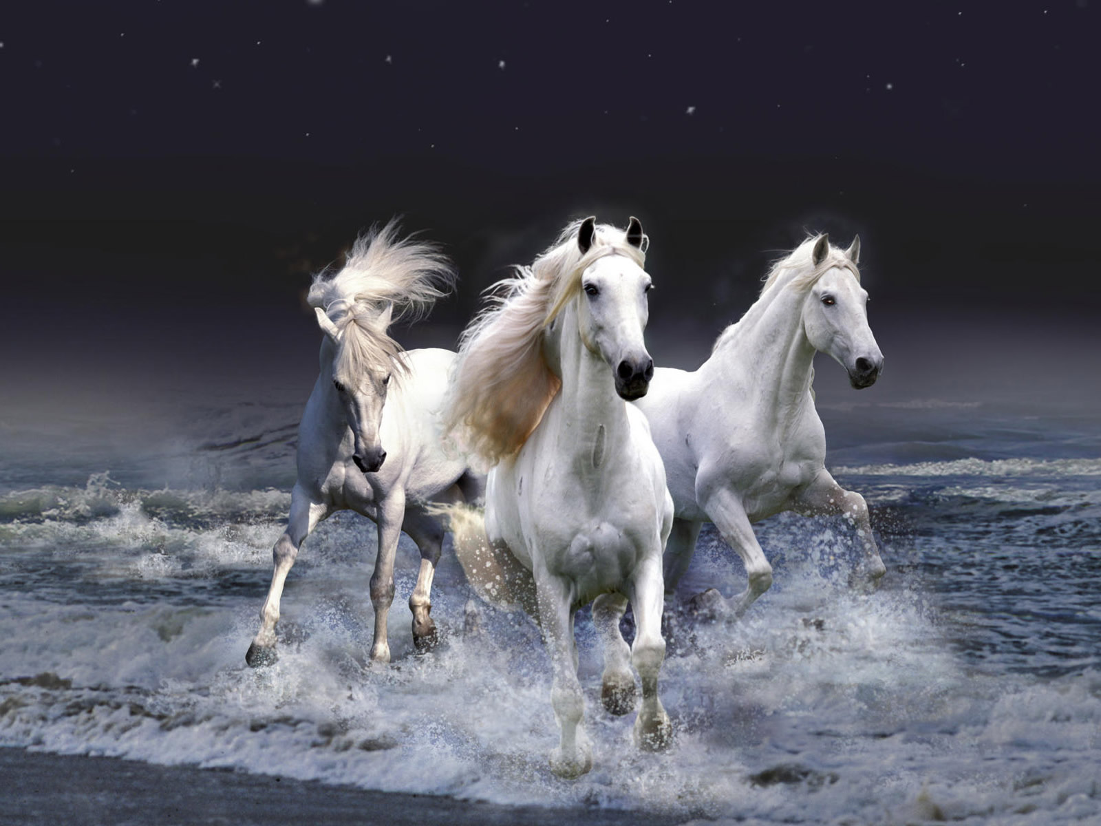 Beautiful Mystical Horse Wallpapers