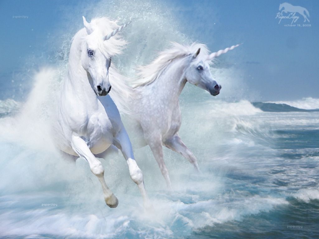 Beautiful Mystical Horse Wallpapers