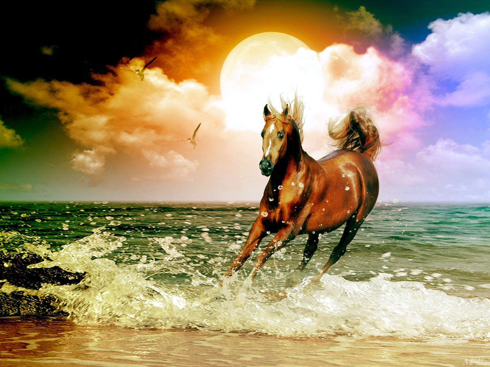 Beautiful Mystical Horse Wallpapers