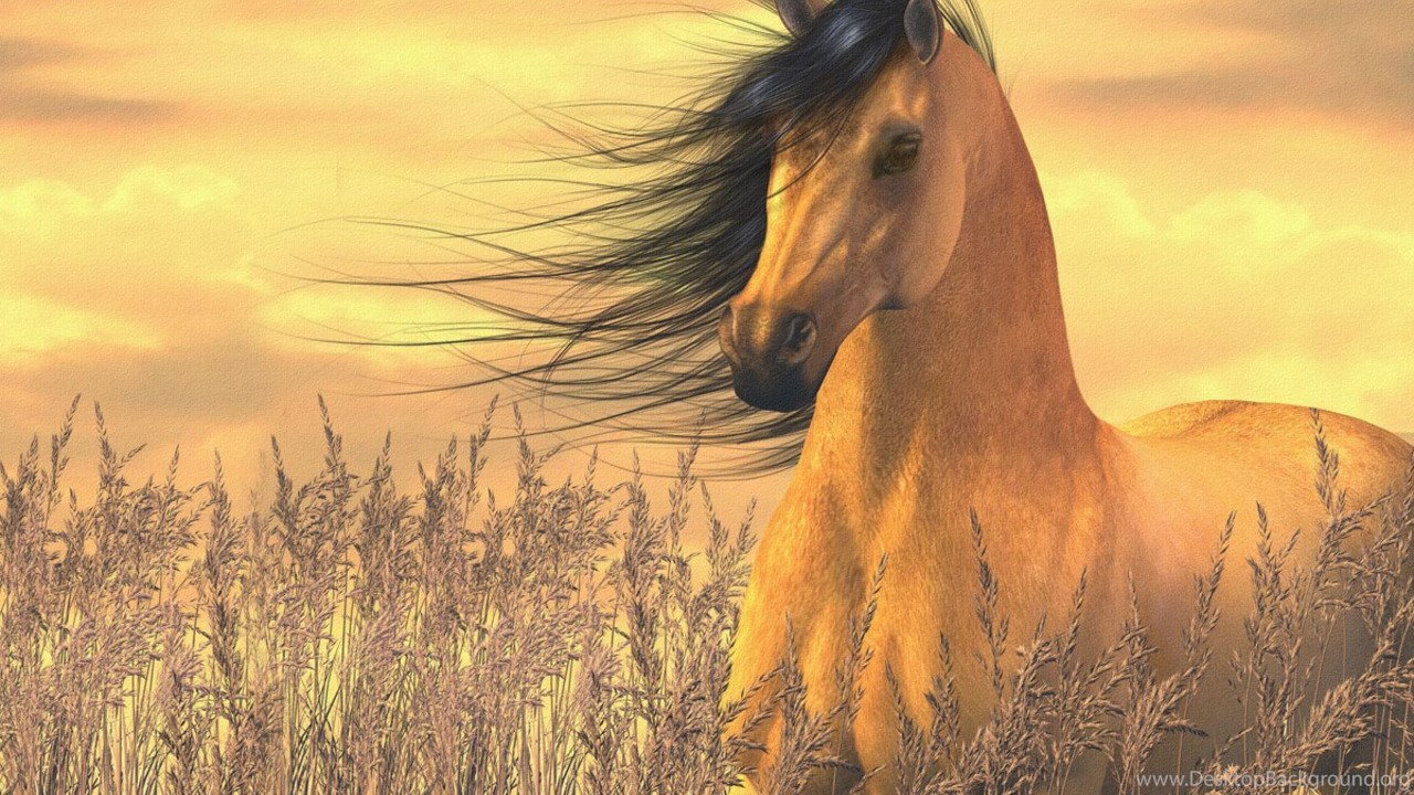 Beautiful Mystical Horse Wallpapers