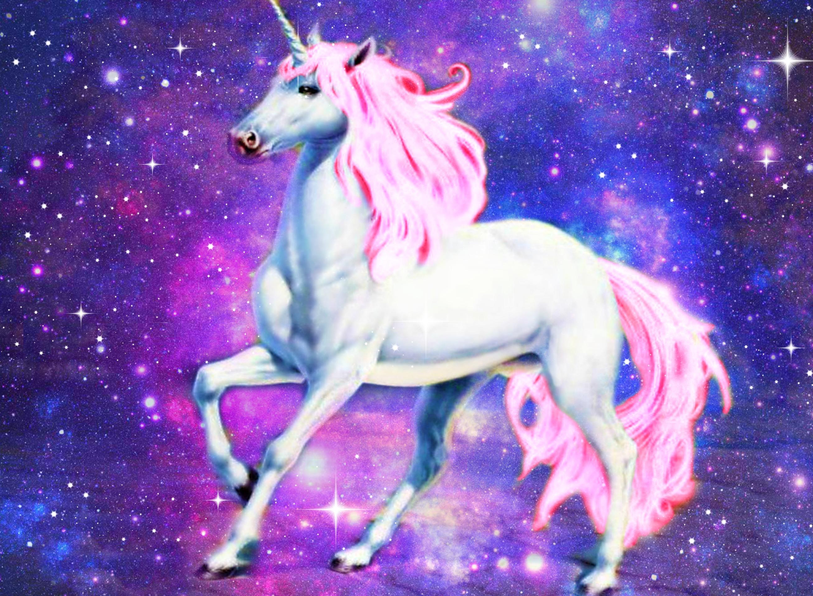 Beautiful Real Unicorn Wallpapers