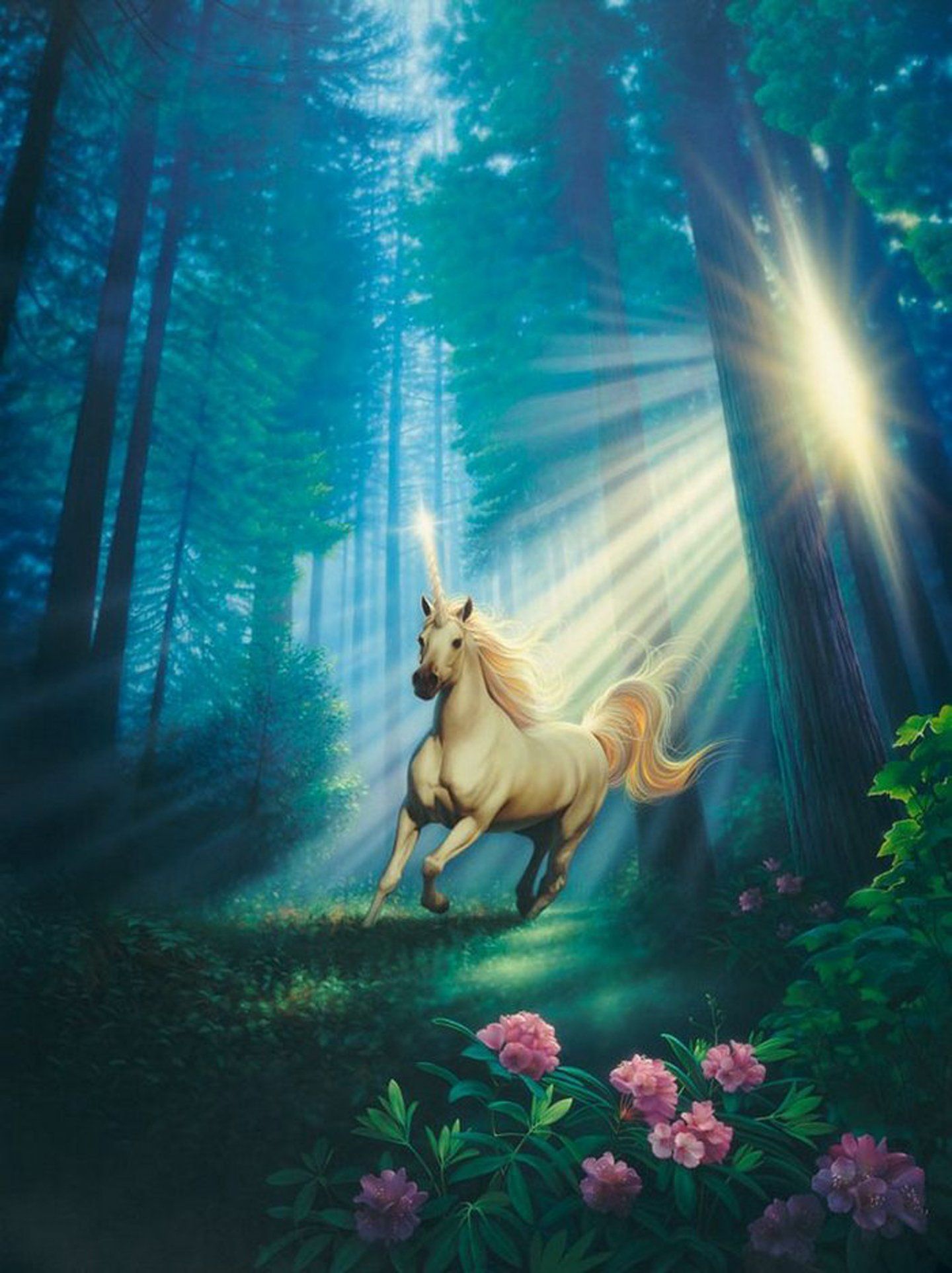 Beautiful Real Unicorn Wallpapers