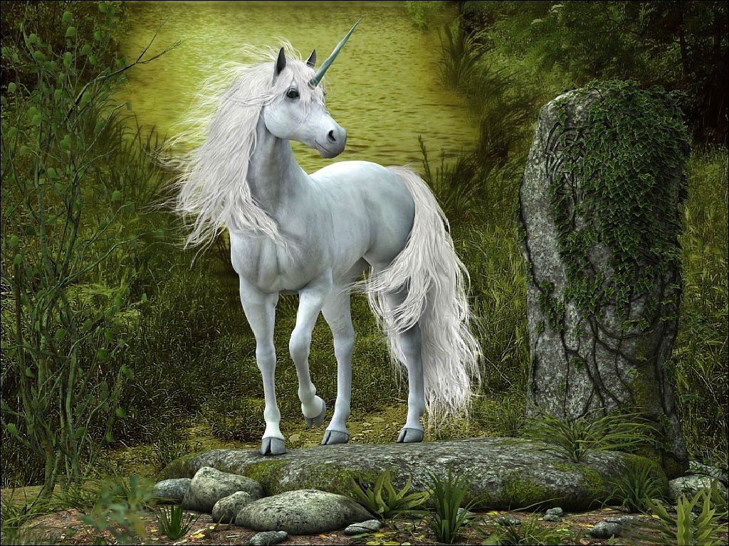 Beautiful Real Unicorn Wallpapers