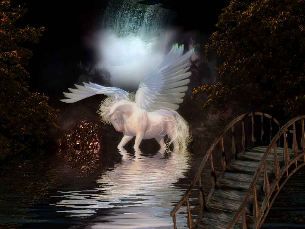 Beautiful Real Unicorn Wallpapers