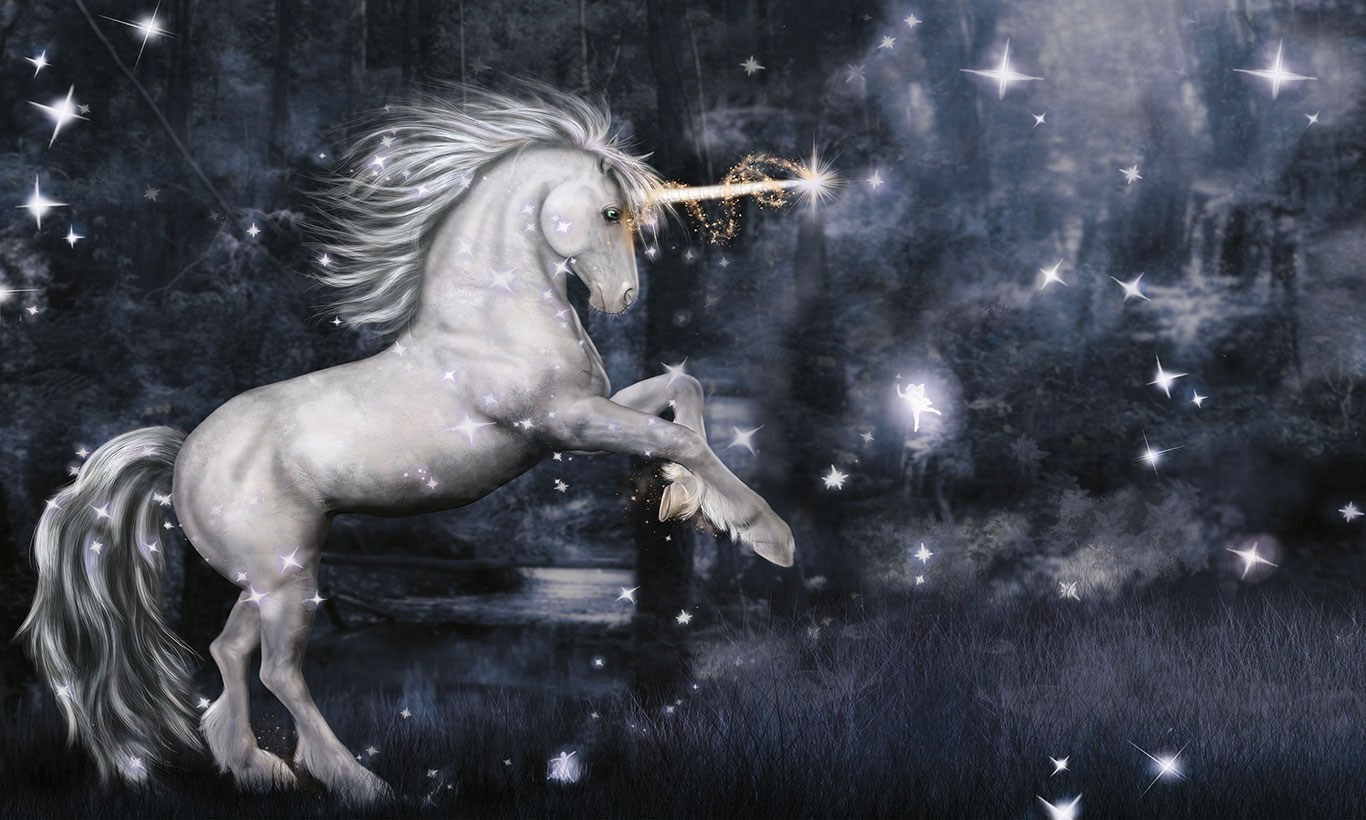 Beautiful Real Unicorn Wallpapers