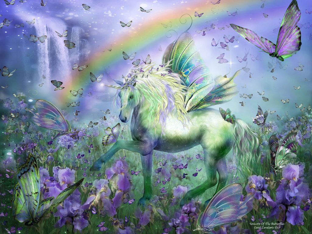 Beautiful Real Unicorn Wallpapers