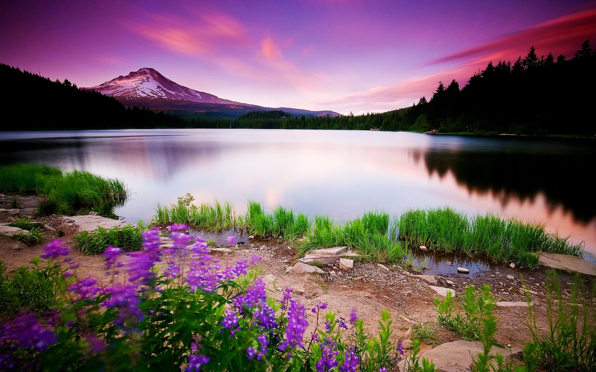 Beautiful Spring Landscape Wallpapers