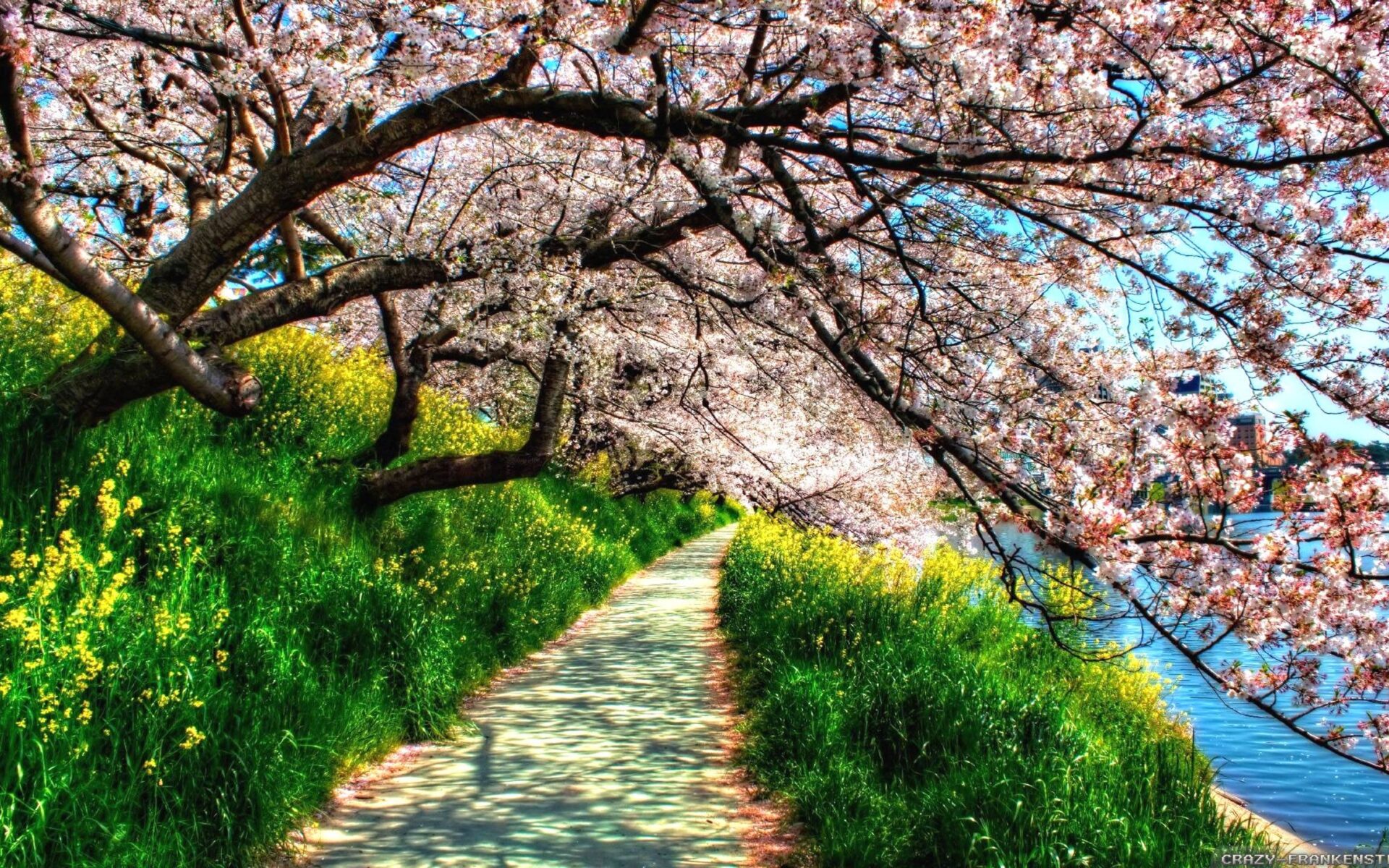 Beautiful Spring Landscape Wallpapers