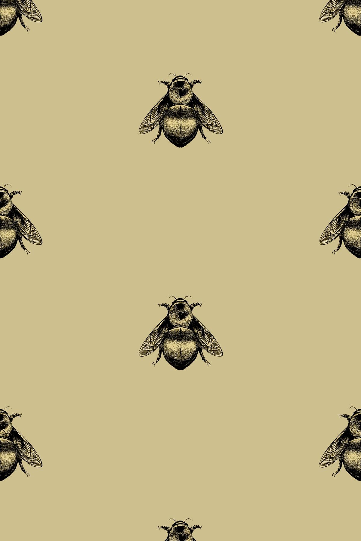 Bee Desktop Wallpapers