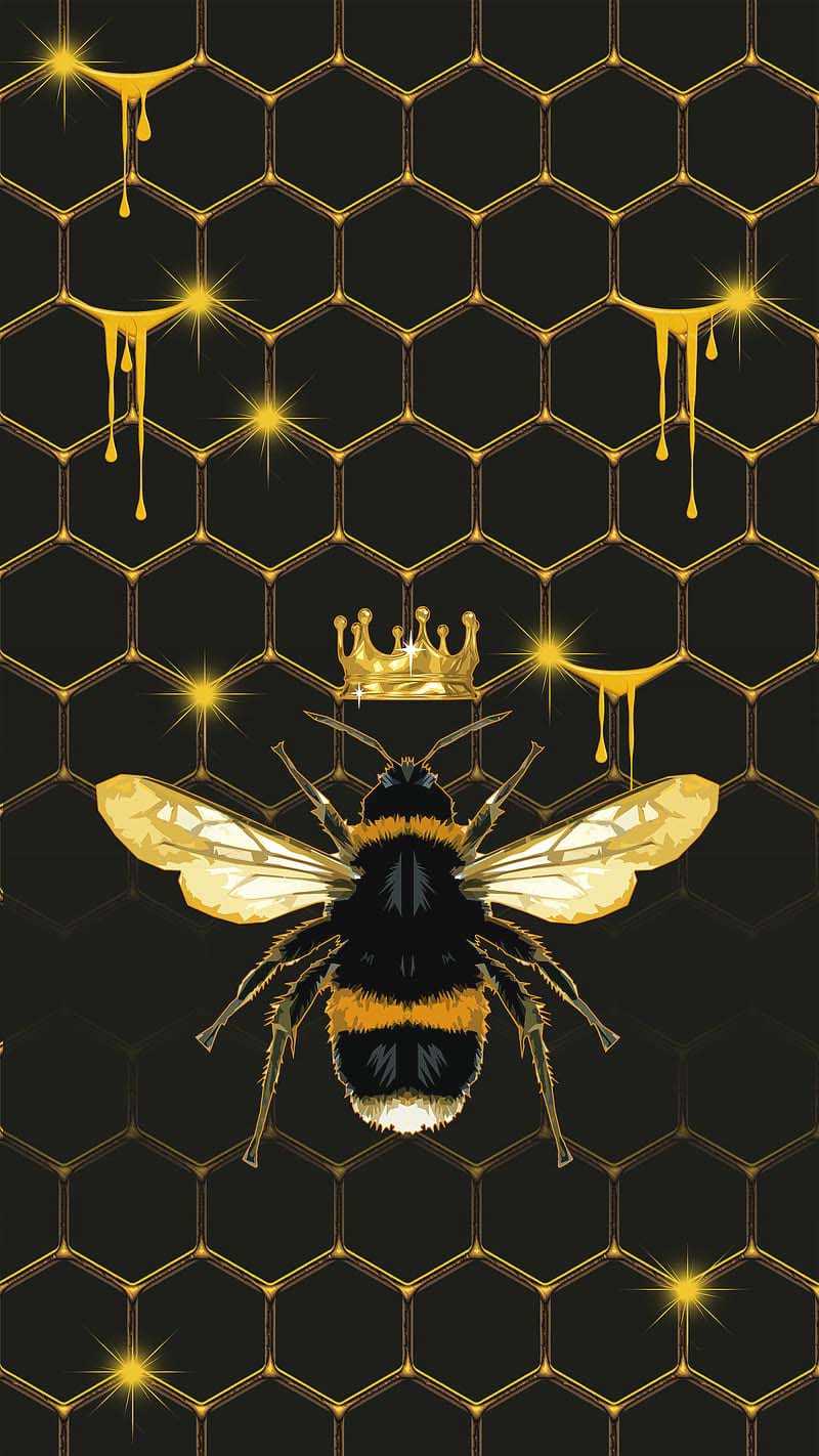 Bee Iphone Wallpapers