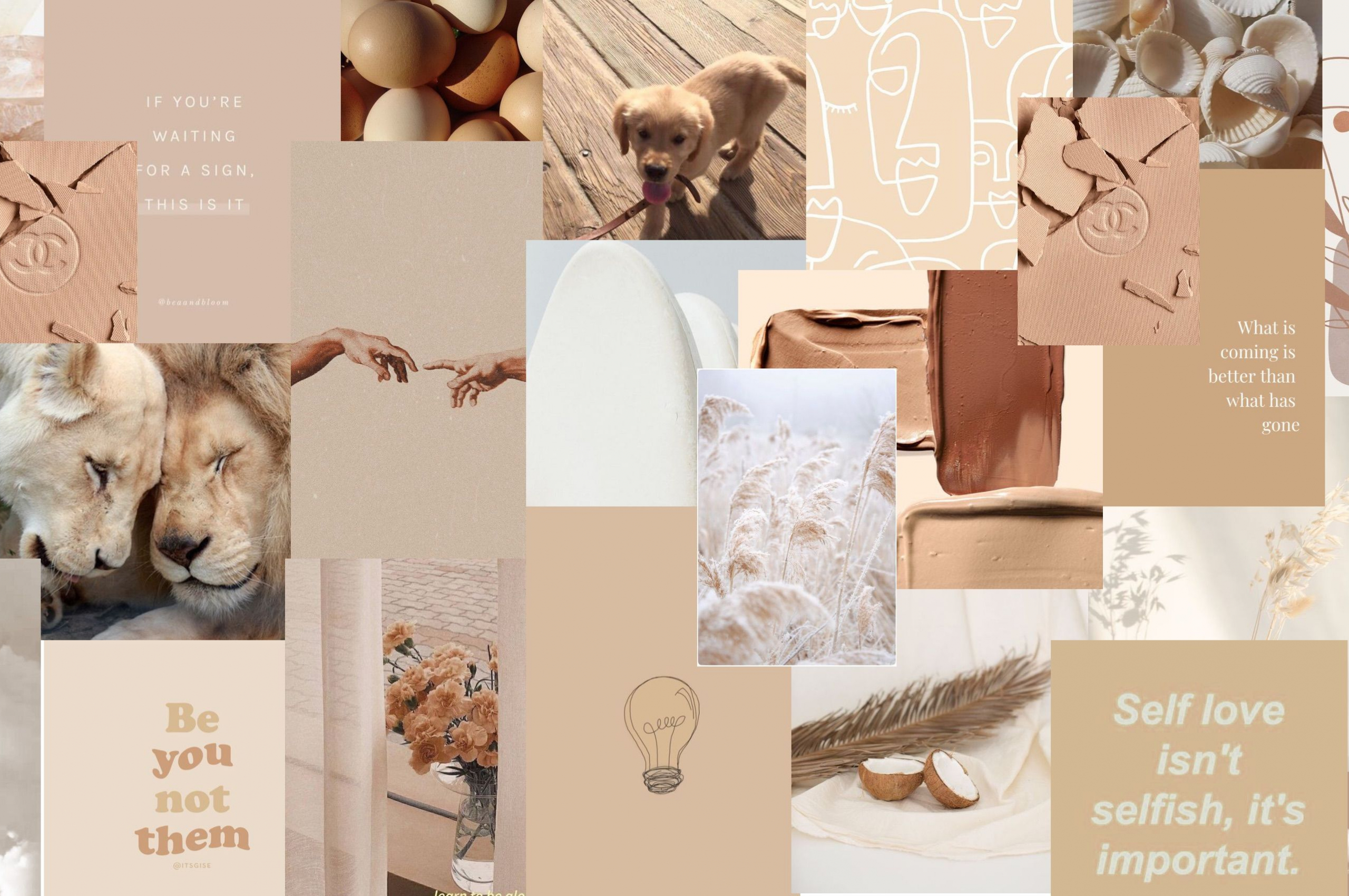 Beige Aesthetic Collage Wallpapers