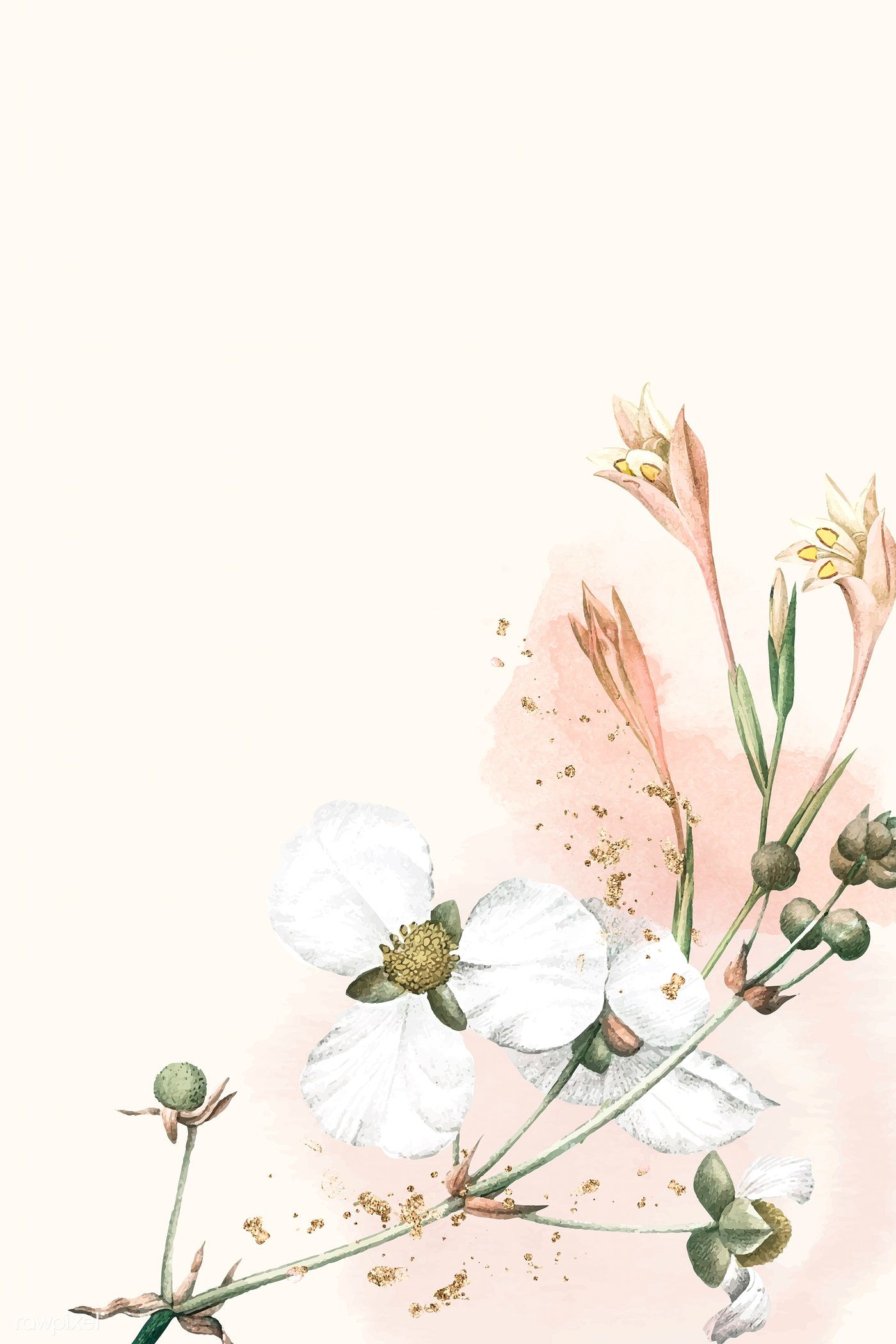 Beige Flowers Wallpapers