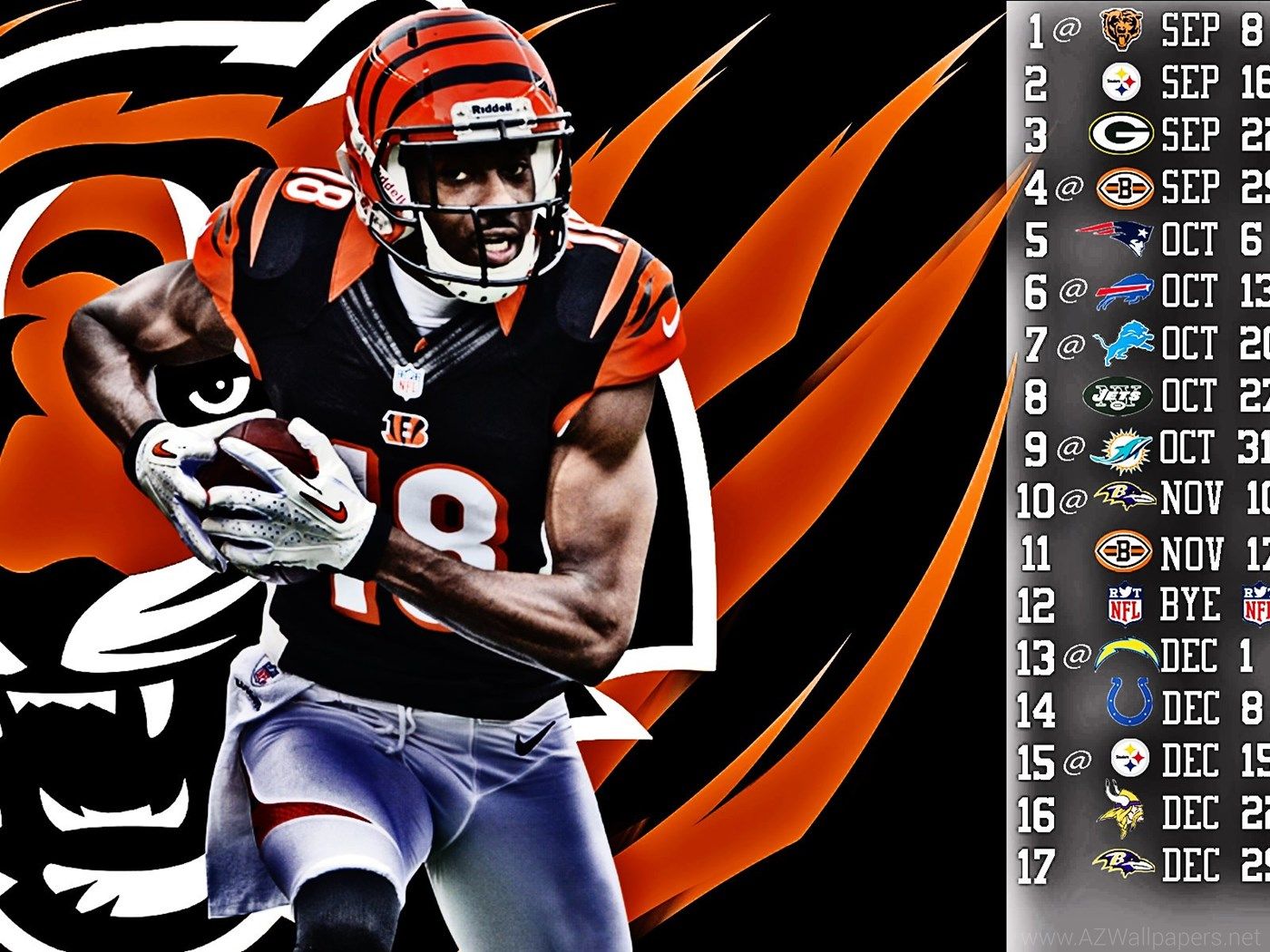 Bengals Wallpapers