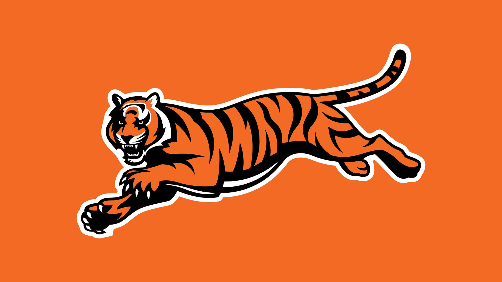 Bengals Wallpapers