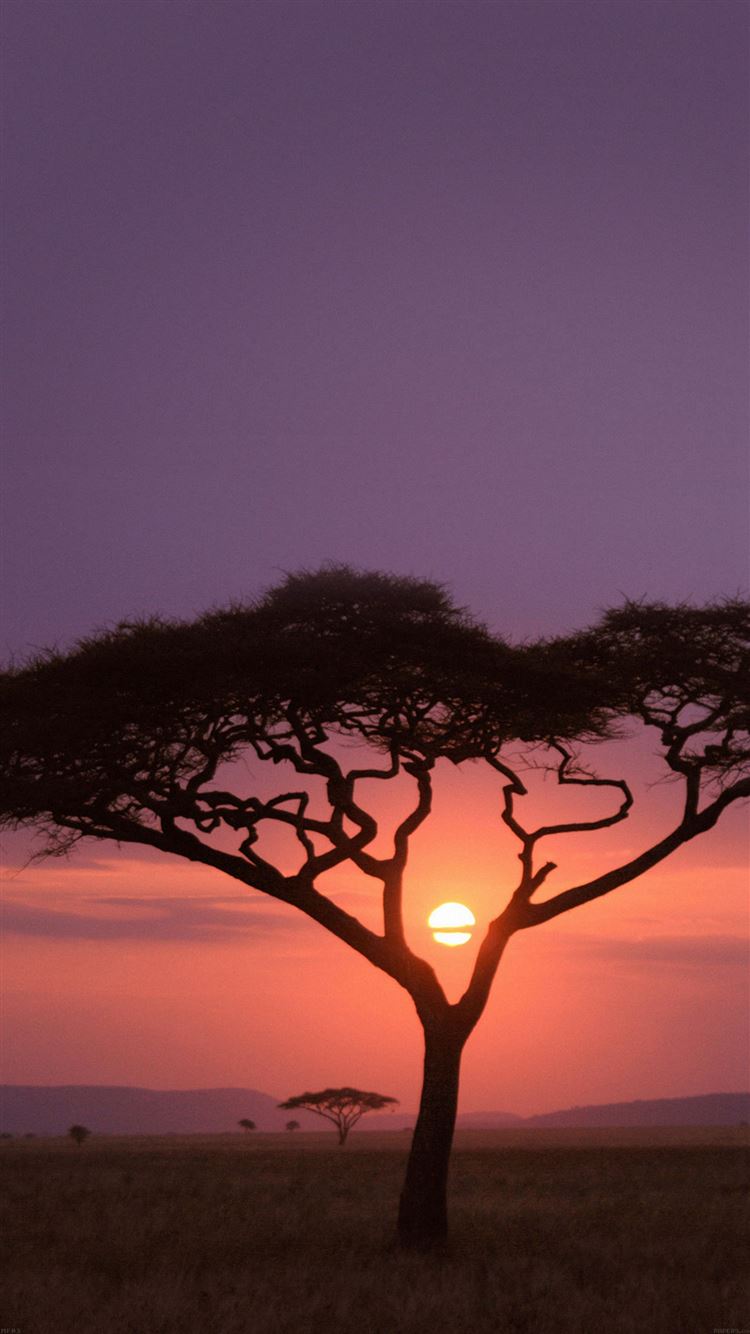 Best Africa Wallpapers