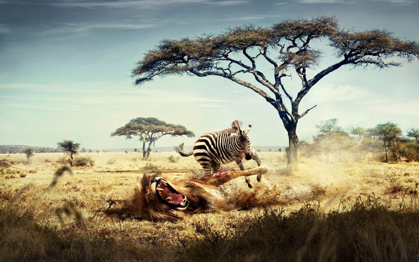 Best Africa Wallpapers