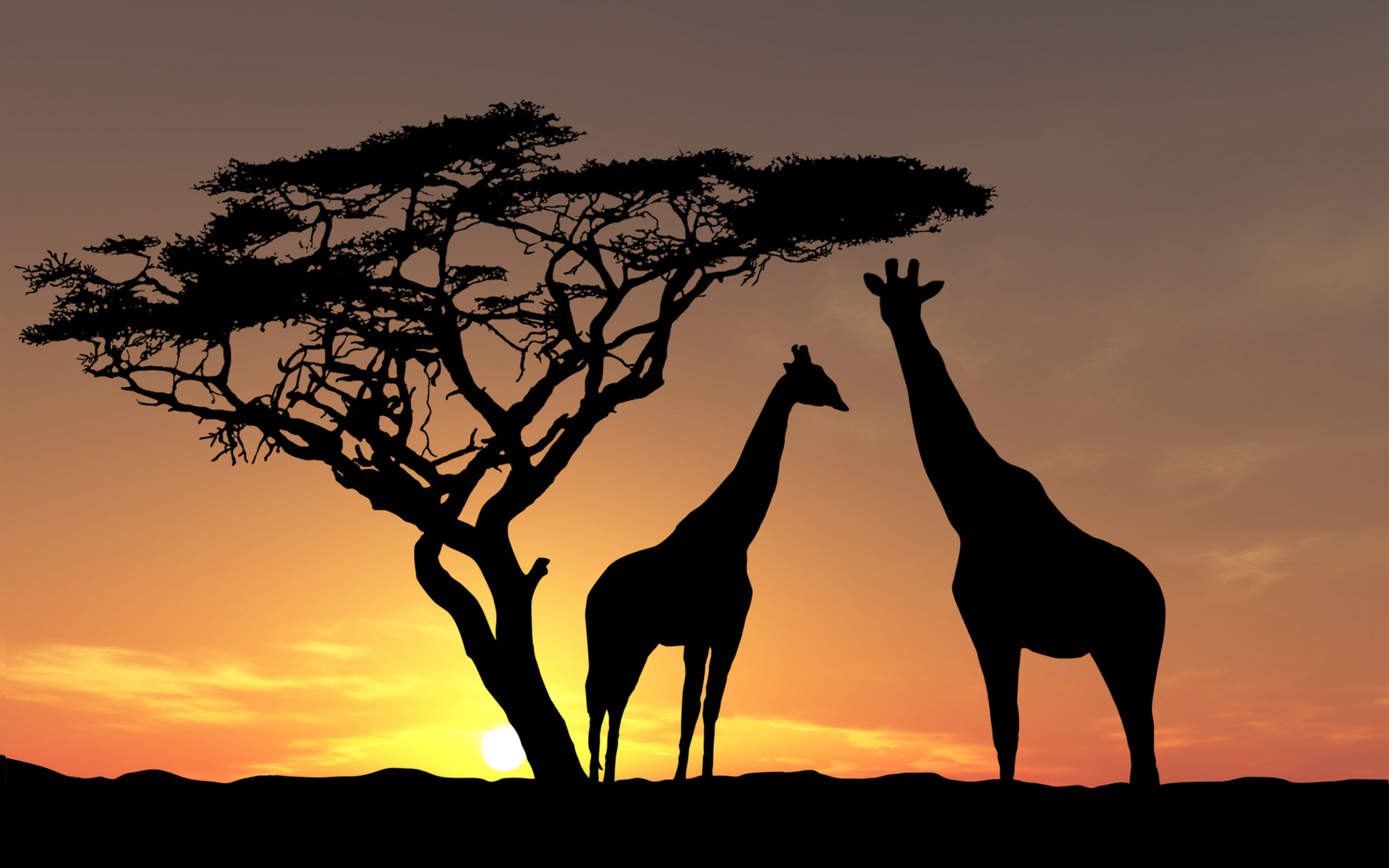 Best Africa Wallpapers